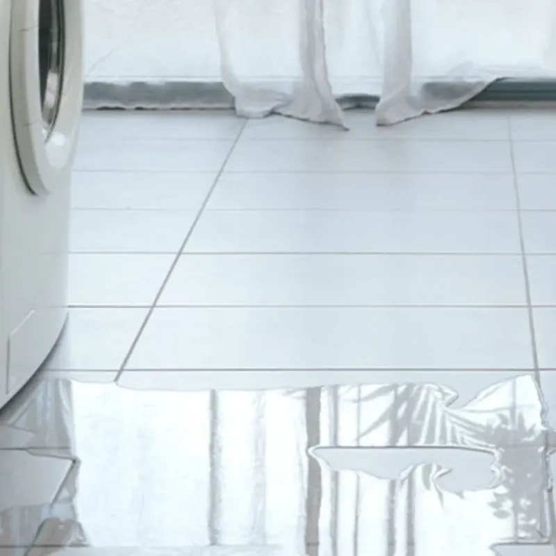 Appliance Leak Cleanup in Mirrormont, WA