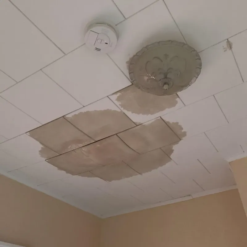 Ceiling Water Damage Repair in Mirrormont, WA